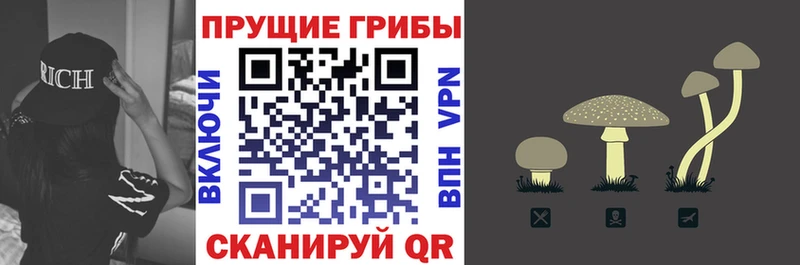 Псилоцибиновые грибы Magic Shrooms  Игра 